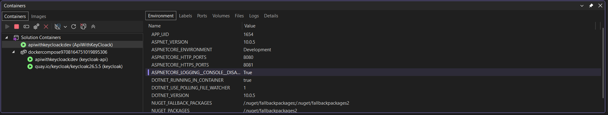 visual studio running container.png